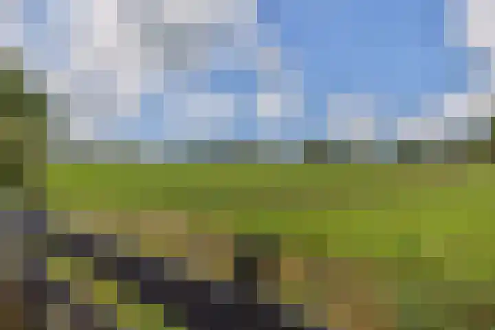 Rykswei 14 Kootstertille thumbnail 35