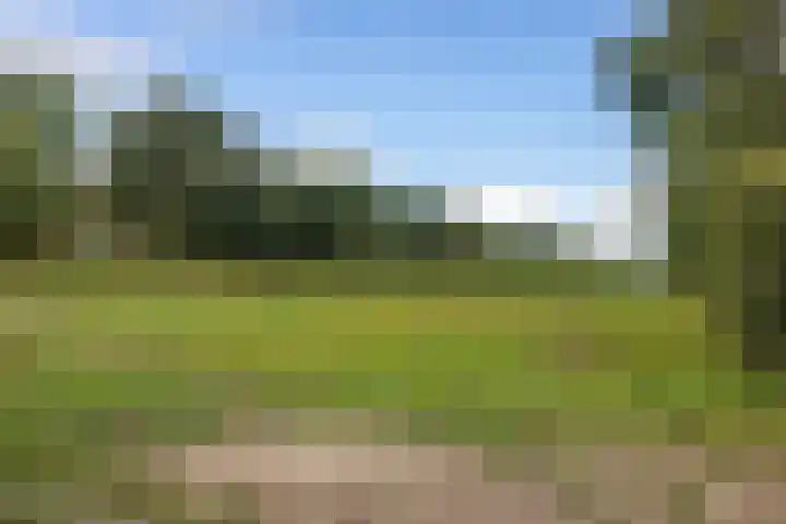 Rykswei 14 Kootstertille thumbnail 36