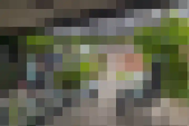 Rykswei 14 Kootstertille thumbnail 39