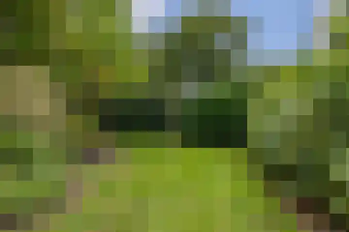 Rykswei 14 Kootstertille thumbnail 44