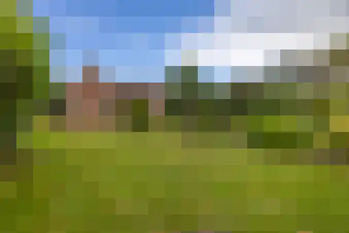 Rykswei 14 Kootstertille thumbnail 45