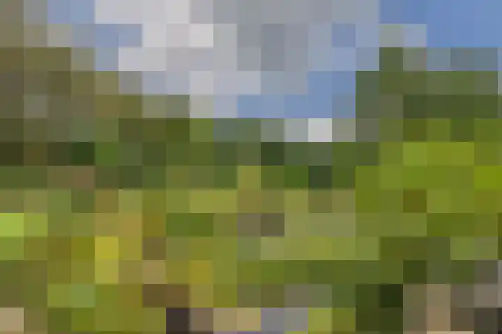 Rykswei 14 Kootstertille thumbnail 46