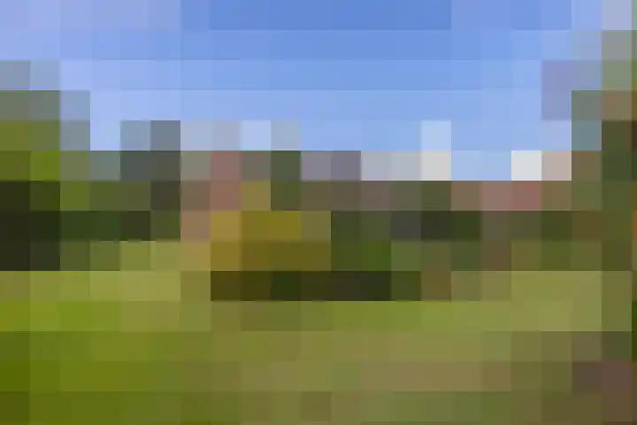 Rykswei 14 Kootstertille thumbnail 47