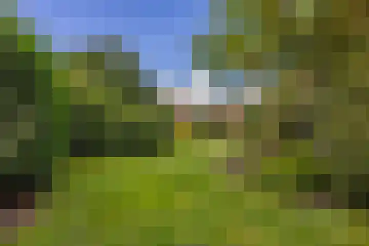 Rykswei 14 Kootstertille thumbnail 48