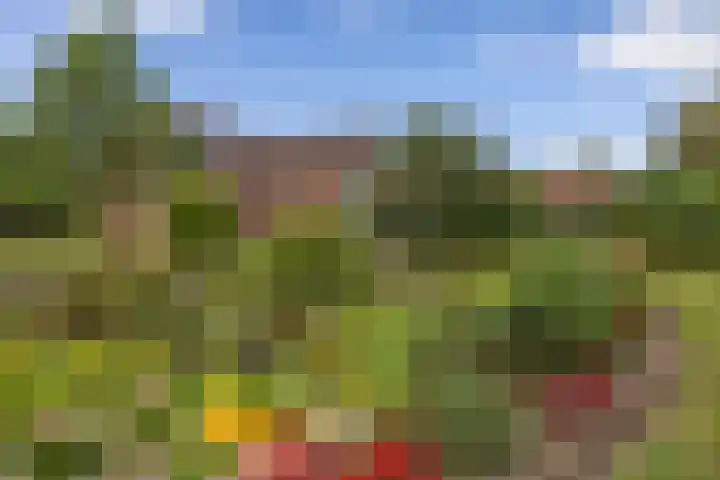 Rykswei 14 Kootstertille thumbnail 5