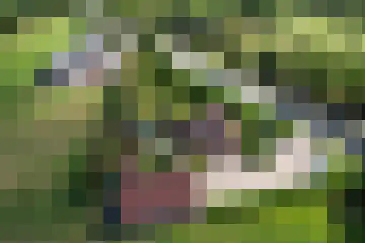 Rykswei 14 Kootstertille thumbnail 58