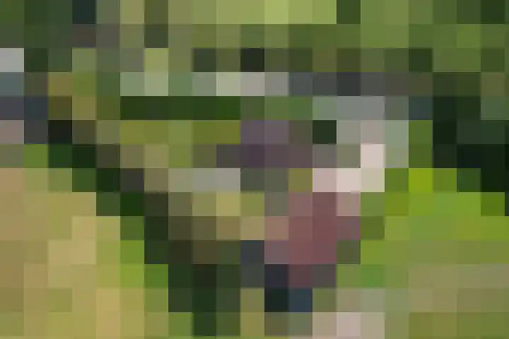 Rykswei 14 Kootstertille thumbnail 59