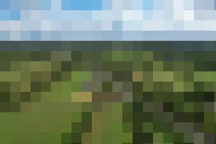 Rykswei 14 Kootstertille thumbnail 63