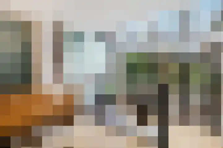 's-Gravendijkwal 101 Rotterdam thumbnail 20