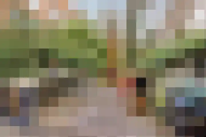 's-Gravendijkwal 101 Rotterdam thumbnail 24