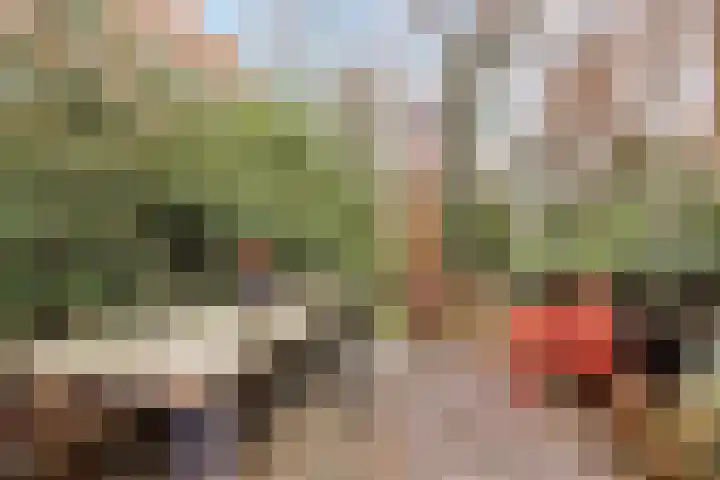 's-Gravendijkwal 101 Rotterdam thumbnail 25