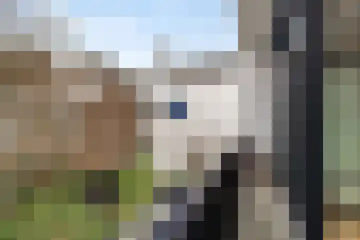 's-Gravendijkwal 101 Rotterdam thumbnail 48