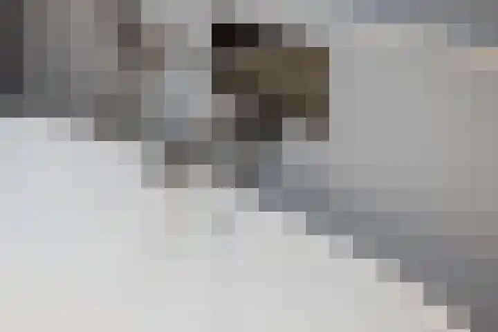 's-Gravendijkwal 101 Rotterdam thumbnail 67