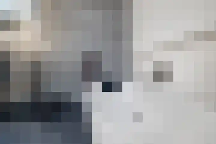 's-Gravendijkwal 101 Rotterdam thumbnail 68