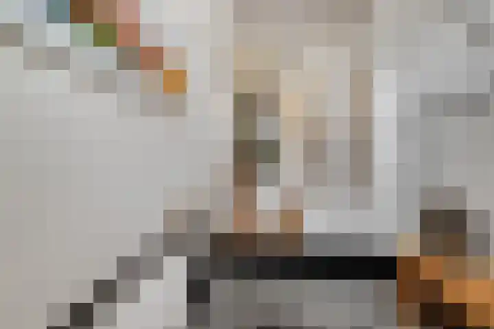 's-Gravendijkwal 101 Rotterdam thumbnail 7