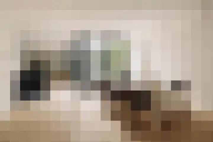 's-Gravenhekje 2 H Amsterdam thumbnail 12