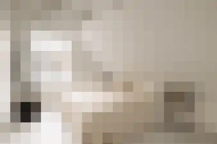 's-Gravenhekje 2 H Amsterdam thumbnail 12