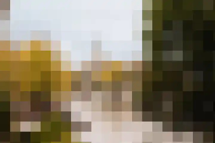 's-Gravenhekje 2 H Amsterdam thumbnail 12