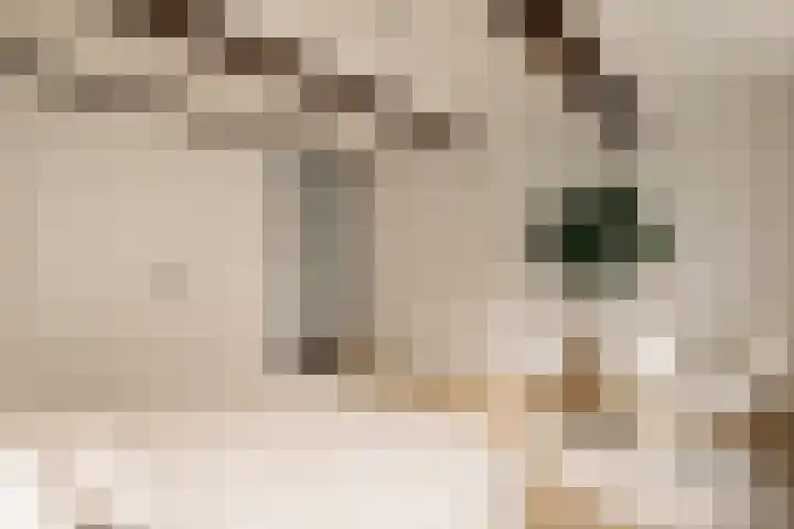 's-Gravenhekje 2 H Amsterdam thumbnail 13