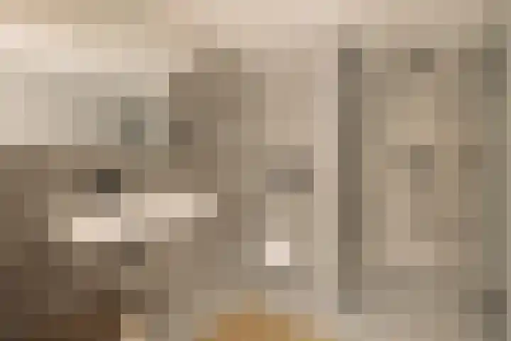 's-Gravenhekje 2 H Amsterdam thumbnail 14