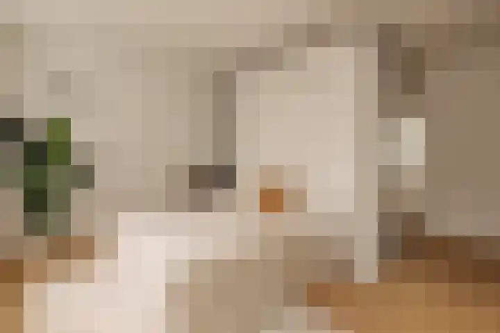 's-Gravenhekje 2 H Amsterdam thumbnail 14