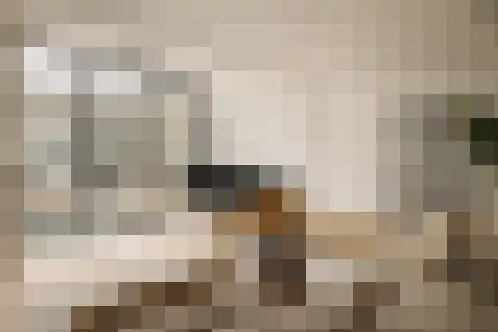 's-Gravenhekje 2 H Amsterdam thumbnail 14
