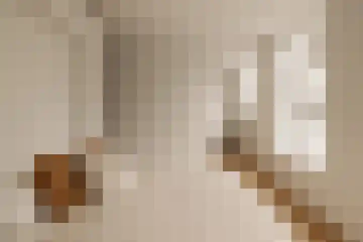 's-Gravenhekje 2 H Amsterdam thumbnail 17
