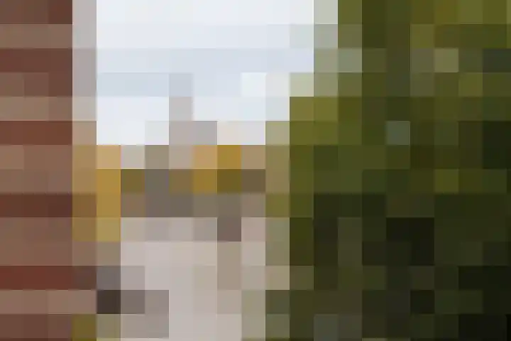 's-Gravenhekje 2 H Amsterdam thumbnail 18