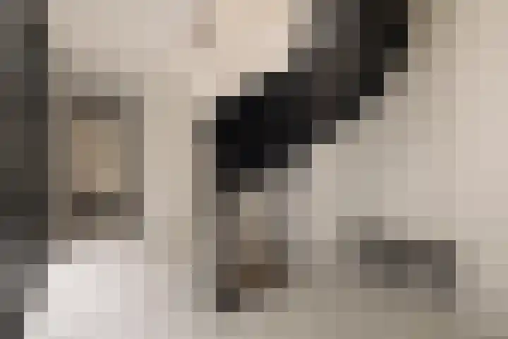 's-Gravenhekje 2 H Amsterdam thumbnail 23