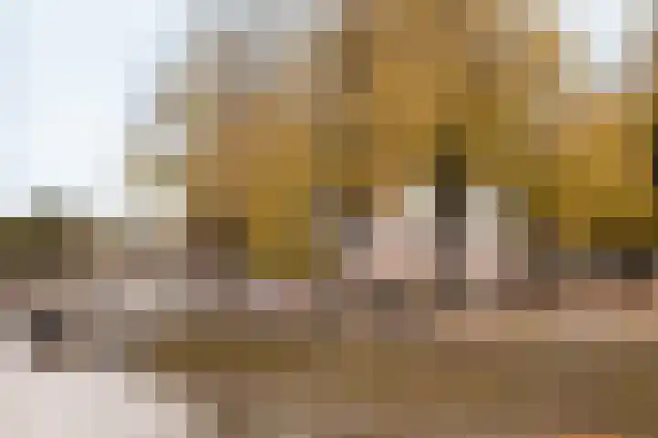 's-Gravenhekje 2 H Amsterdam thumbnail 25