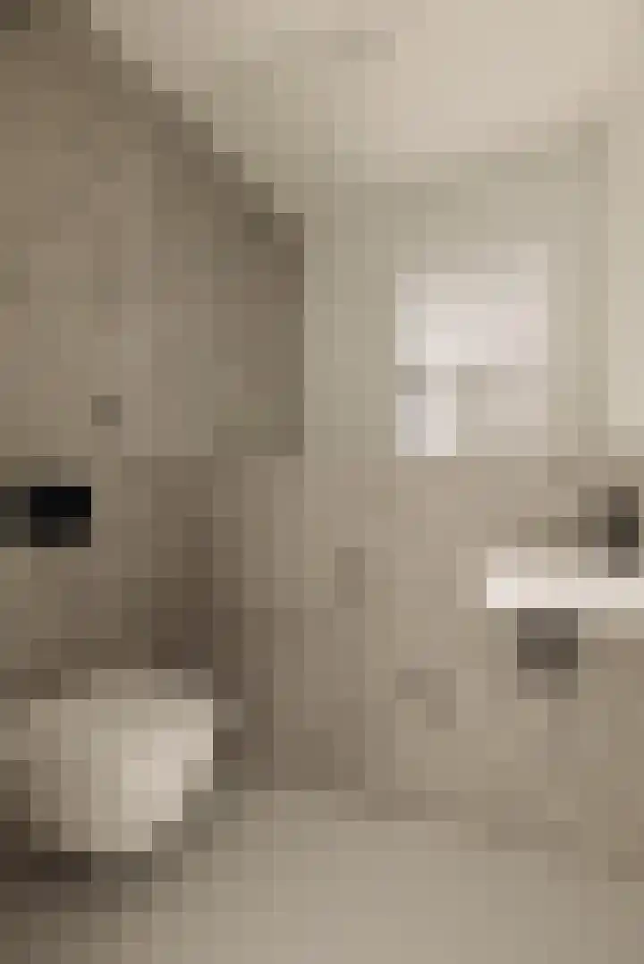 's-Gravenhekje 2 H Amsterdam thumbnail 31