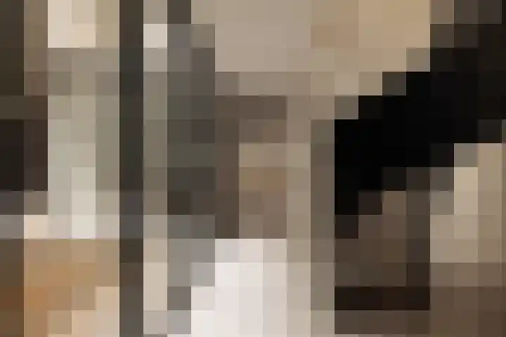 's-Gravenhekje 2 H Amsterdam thumbnail 36