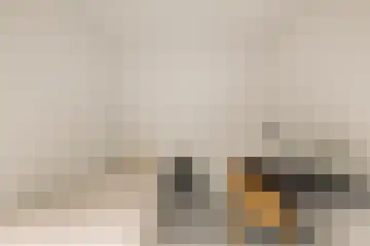 's-Gravenhekje 2 H Amsterdam thumbnail 37