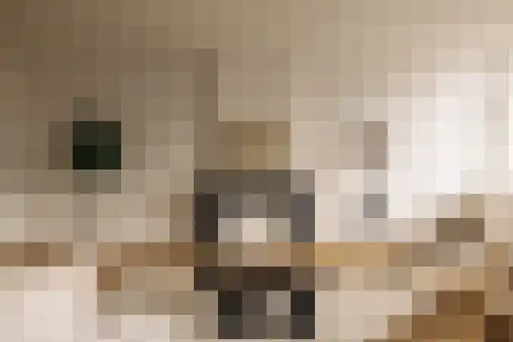 's-Gravenhekje 2 H Amsterdam thumbnail 4