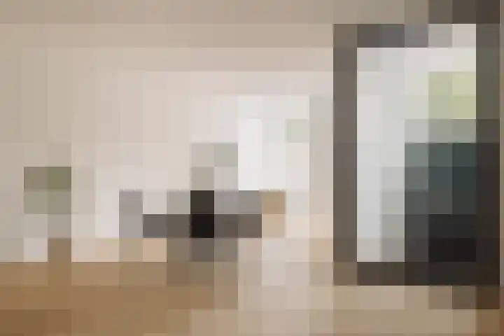 's-Gravenhekje 2 H Amsterdam thumbnail 4