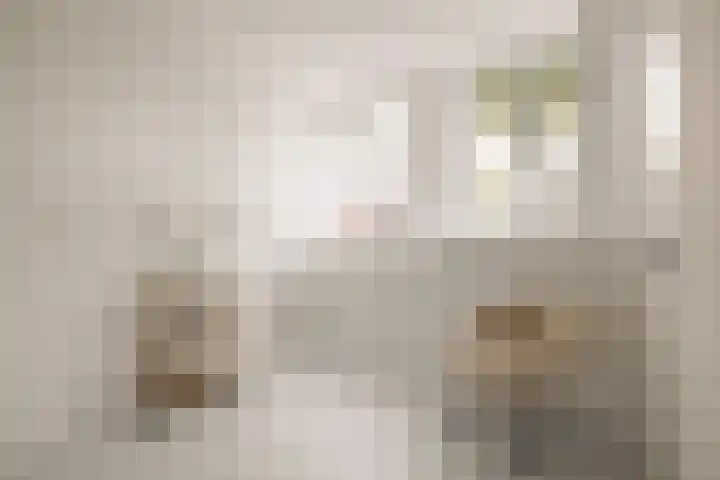 's-Gravenhekje 2 H Amsterdam thumbnail 40