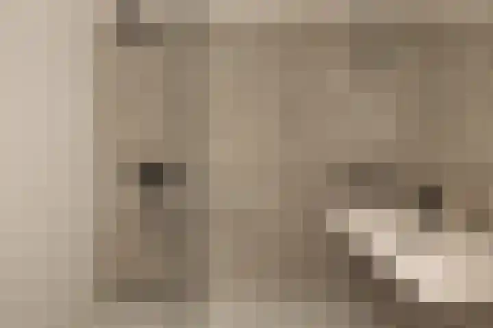 's-Gravenhekje 2 H Amsterdam thumbnail 45
