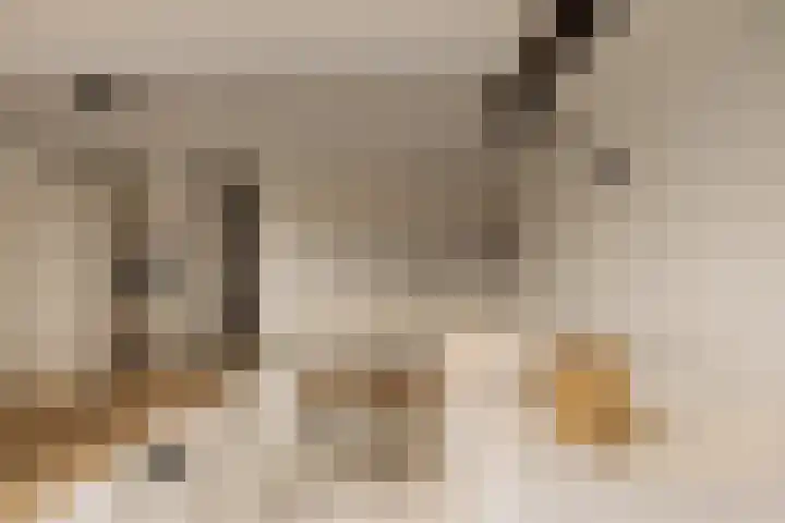 's-Gravenhekje 2 H Amsterdam thumbnail 5