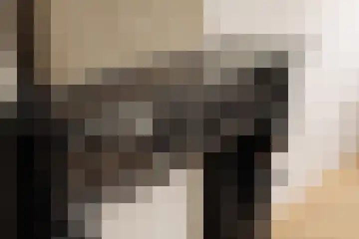 's-Gravenhekje 2 H Amsterdam thumbnail 5