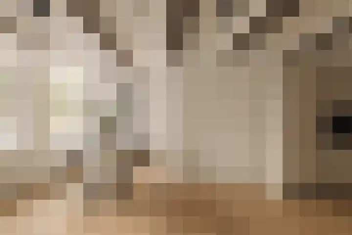 's-Gravenhekje 2 H Amsterdam thumbnail 6
