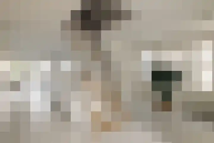 's-Gravenhekje 2 H Amsterdam thumbnail 6
