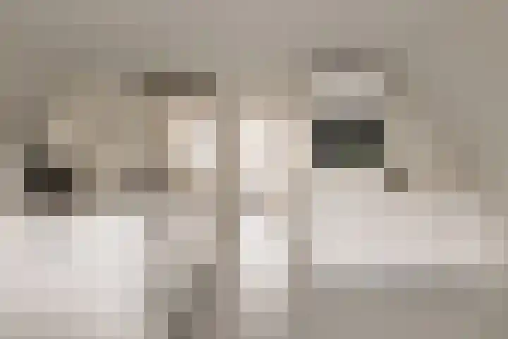 's-Gravenhekje 2 H Amsterdam thumbnail 7
