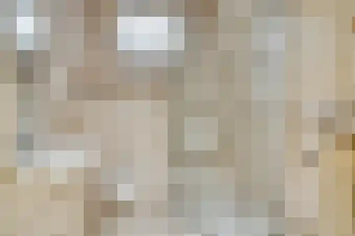 's-Gravenstraat 10 Clinge thumbnail 12