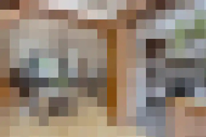 's-Gravenstraat 106 Clinge thumbnail 12