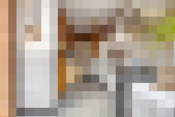 's-Gravenstraat 106 Clinge thumbnail 14