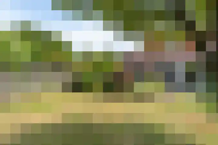 's-Gravenstraat 106 Clinge thumbnail 26