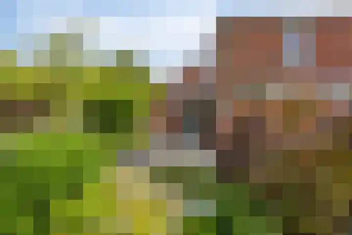 's-Gravenstraat 106 Clinge thumbnail 29