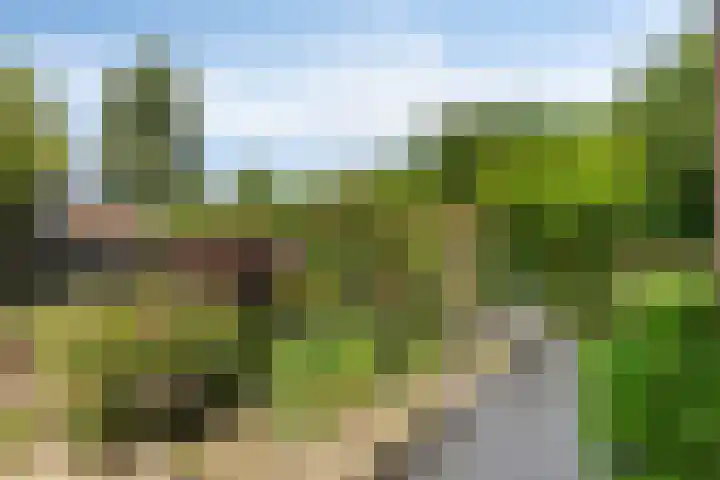 's-Gravenstraat 106 Clinge thumbnail 30