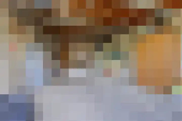 's-Gravenstraat 106 Clinge thumbnail 32