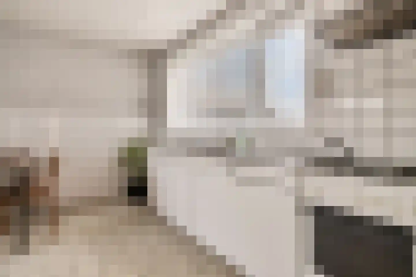 's-Gravenstraat 112 Clinge thumbnail 6